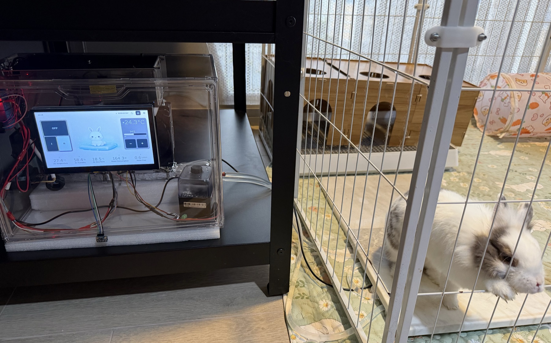 Hoppsicle cooling controller beside the rabbits' enclosure
